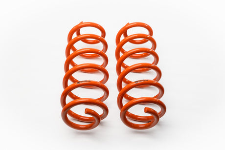 Rear Springs